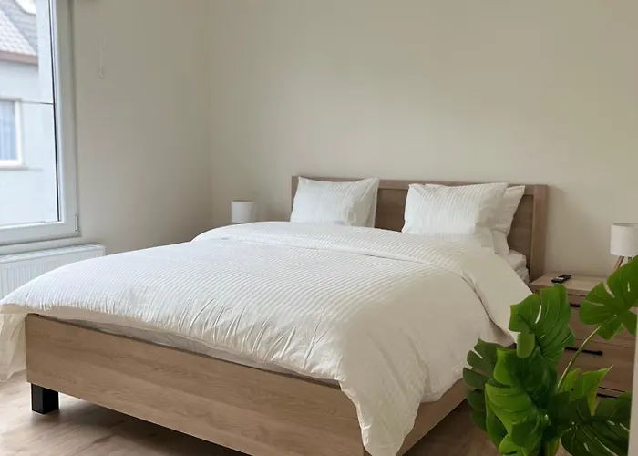 Fds Luxe House * Ghent